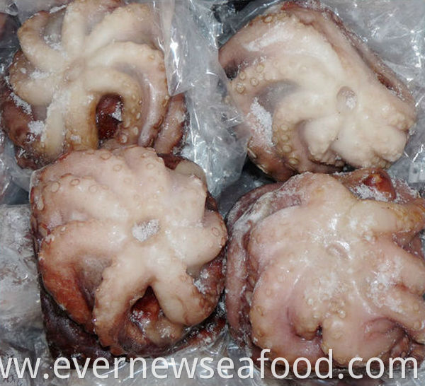 frozen octopus for sale